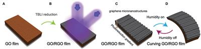 Moisture-Responsive Graphene Actuators Prepared by Two-Beam Laser Interference of Graphene Oxide Paper